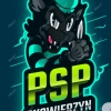 PSP Skowierzyn